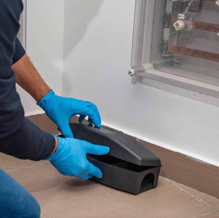 Dératisation Preuseville