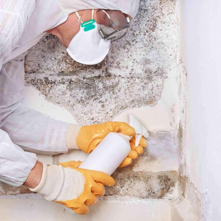 Désinfection des nuisibles Preuseville