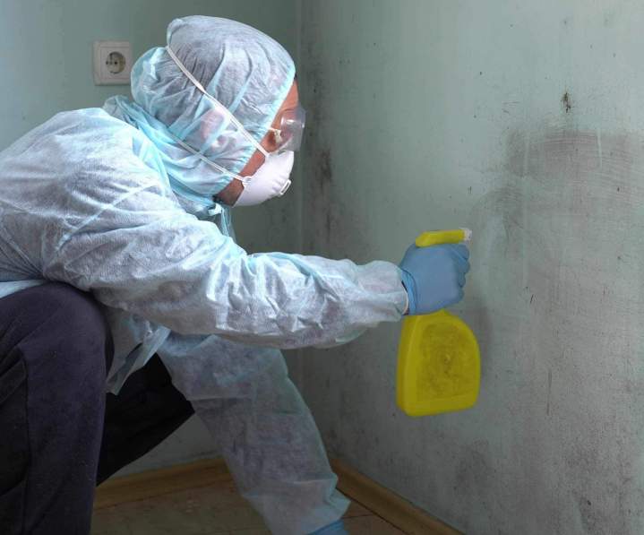 Désinfection des nuisibles Preuseville