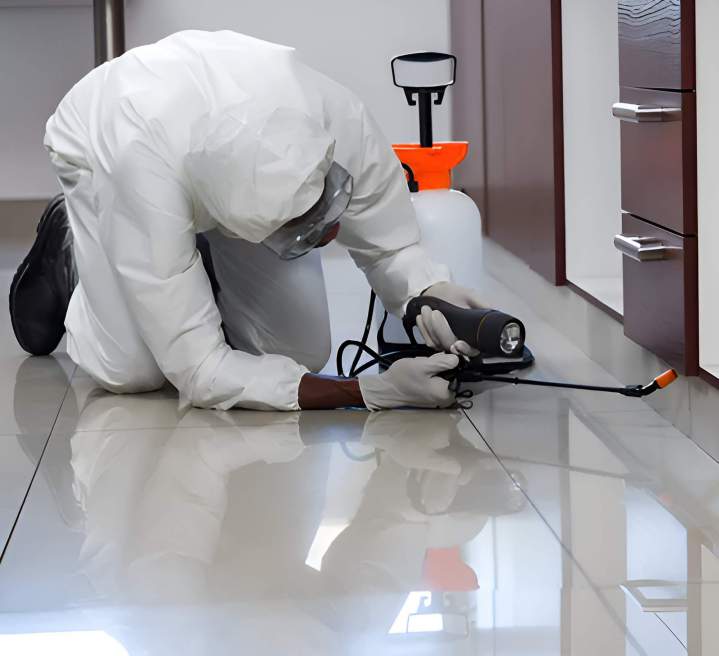 Nous utilisons des insecticides en poudre efficaces et sans danger pour l’environnement.