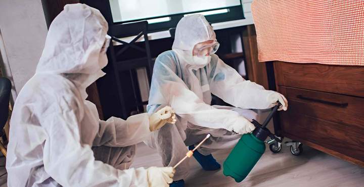 Dératisation Preuseville