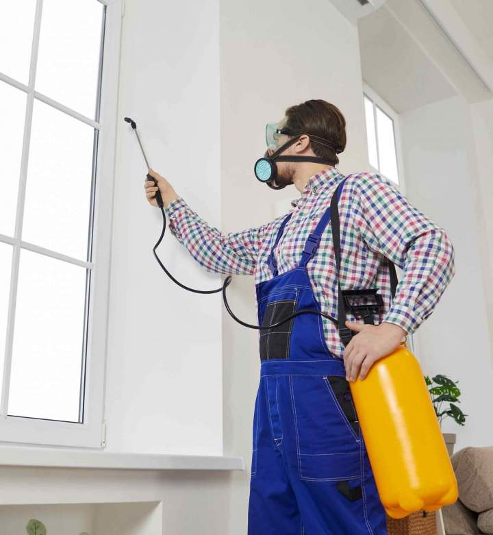 Désinfection contre les nuisibles Preuseville