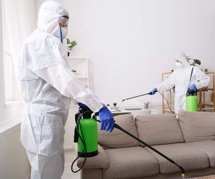 Insecticide en poudre Preuseville